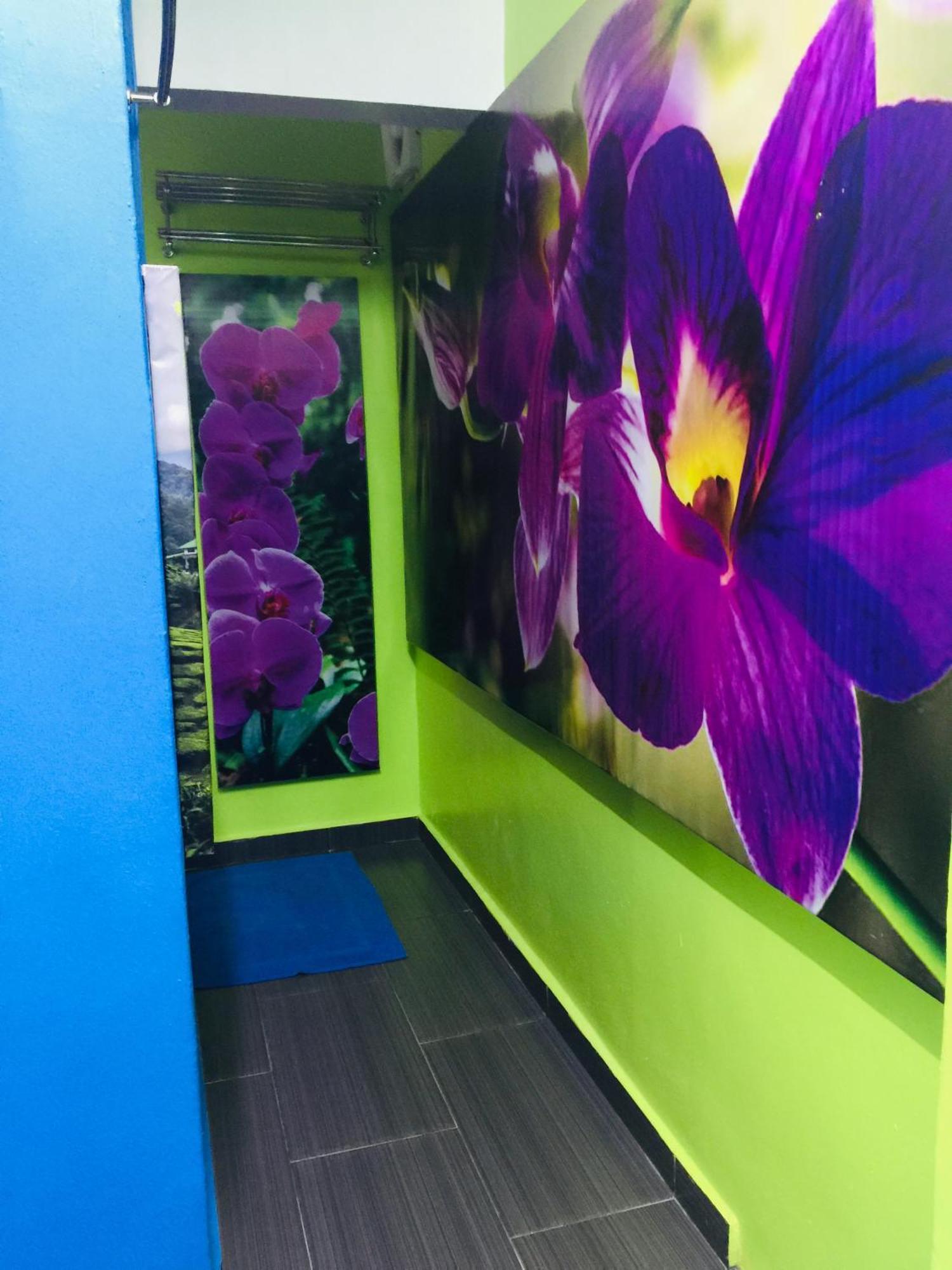 Lily Haven Hotel C-1 Тана Рата Екстериор снимка